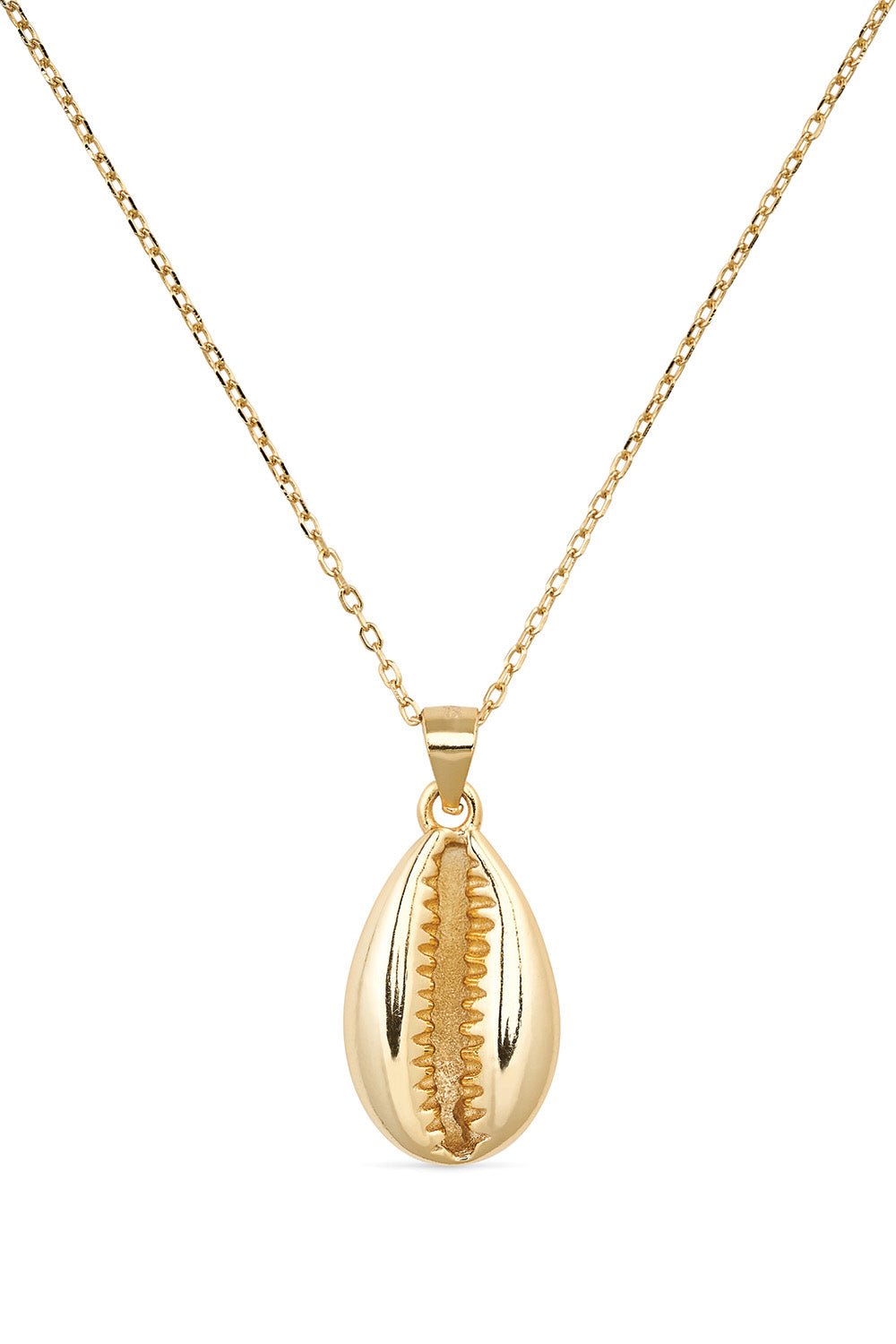 Dainty 14K Gold Cowrie Shell Clam Necklace - Necklaces - Elk & Bloom