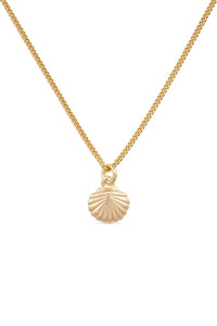 Dainty 18K Gold Large Shell Clam Necklace - Necklaces - Elk & Bloom