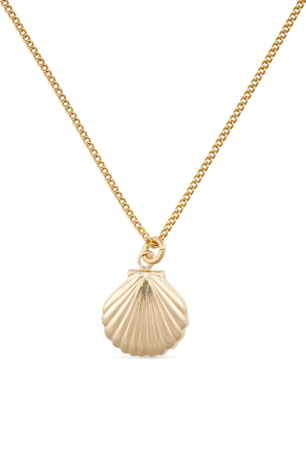 Dainty 18K Gold Shell Clam Necklace - Necklaces - Elk & Bloom